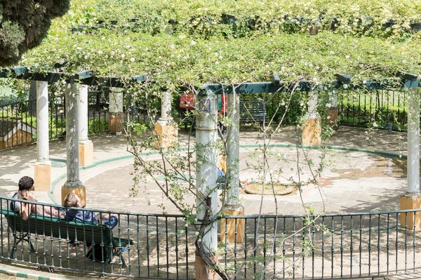 ¿Cómo construir una pérgola en el jardín utilizando materiales reciclados?