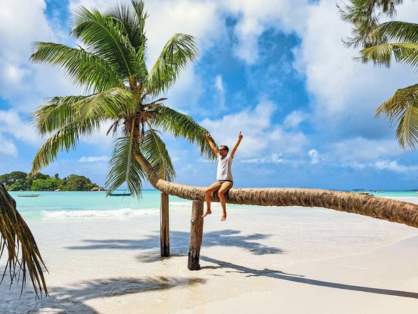 Consigue velocidad y diversión con el wing foil